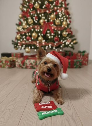 Personalized Pet Products