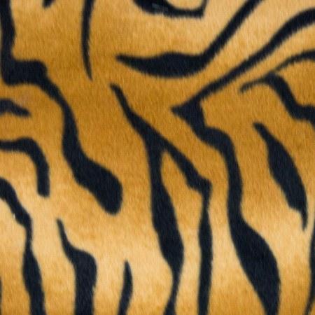Zebra Print Fleece Fabric