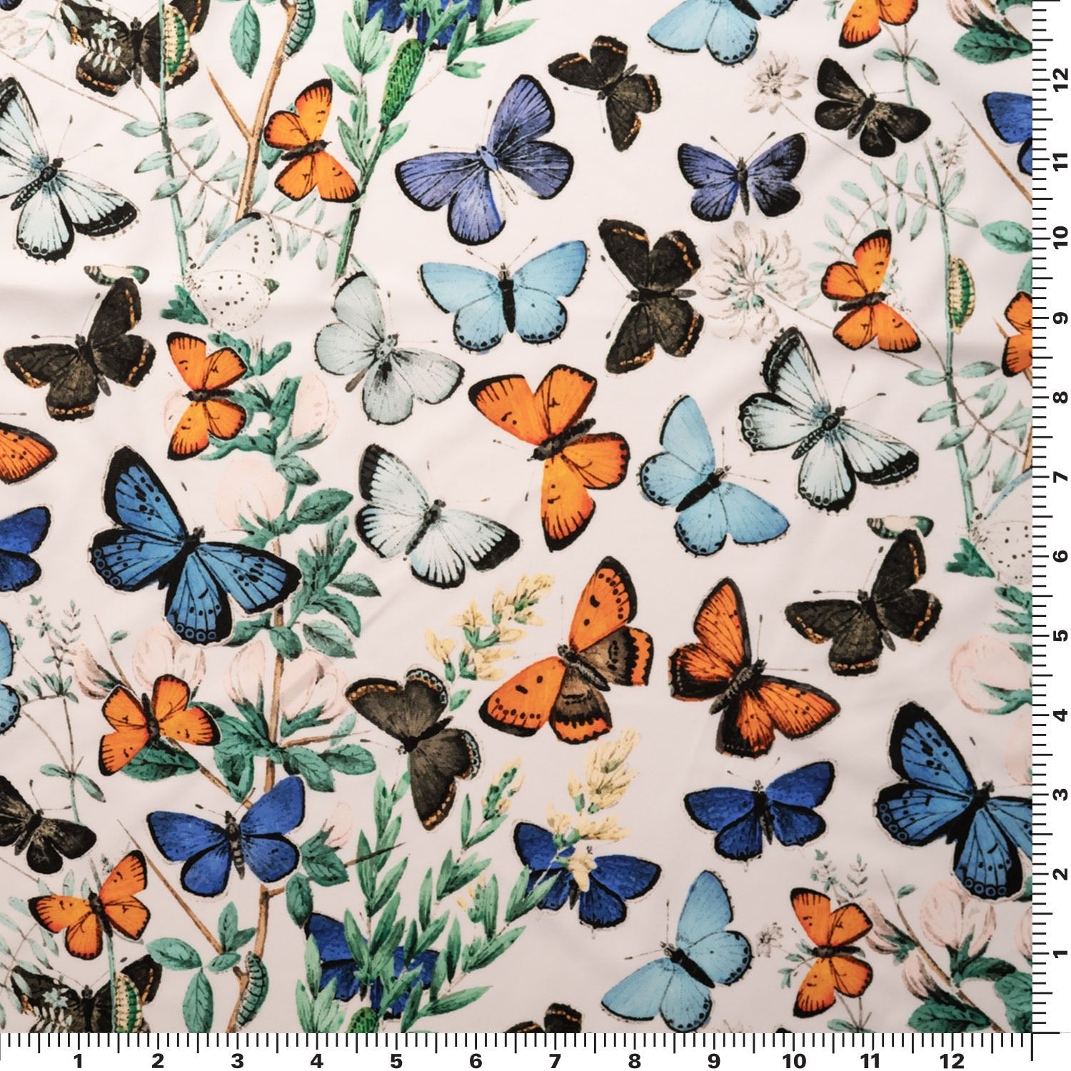Butterflies in Flight Printed Spandex Fabric | CDW