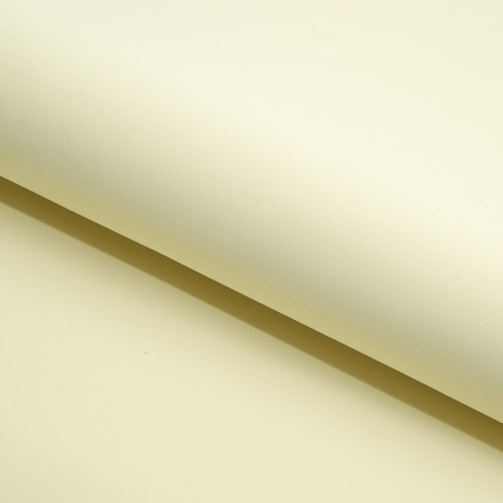 Delite Lightweight Nylon Spandex Fabric | CDW