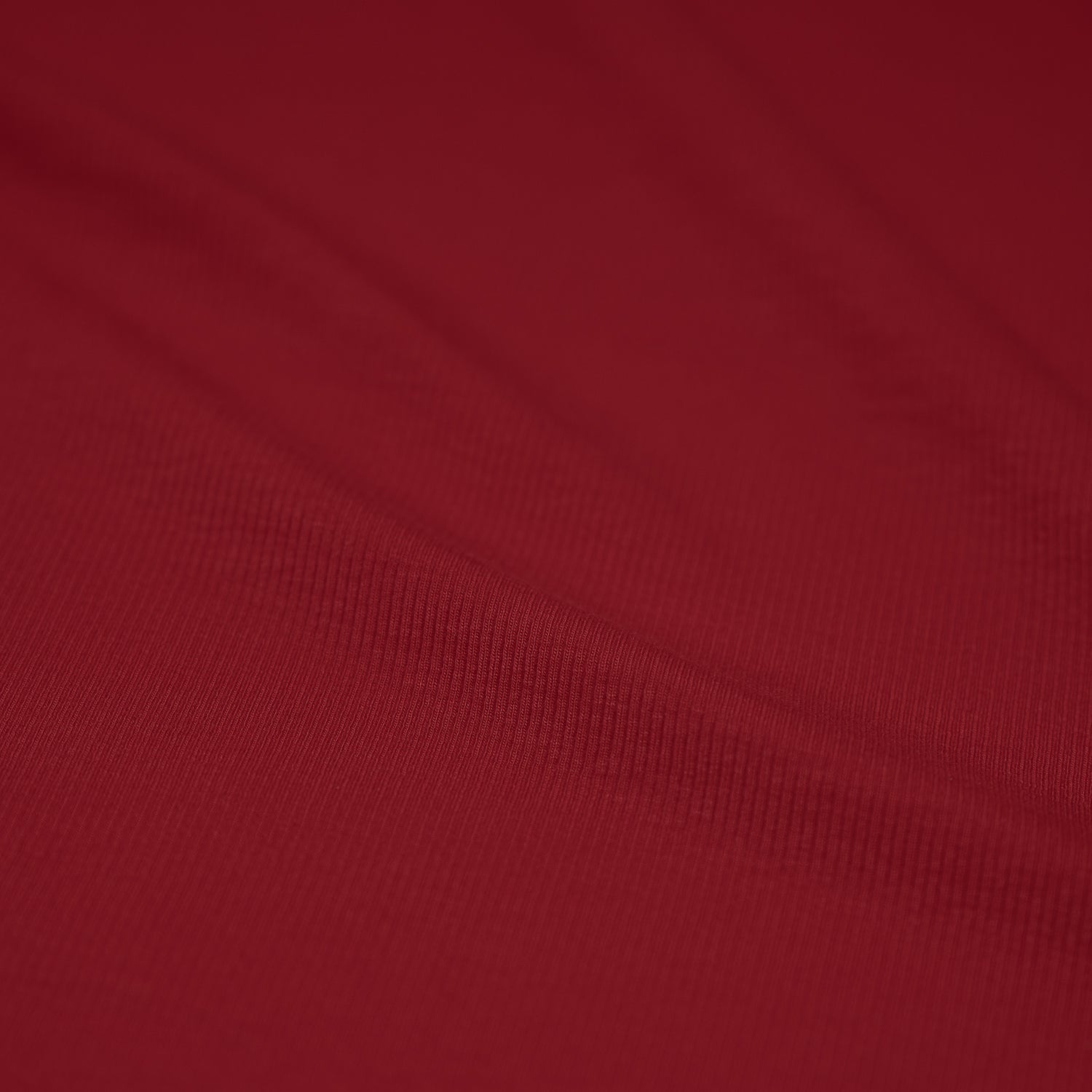 Embody Tencel Lyocell Spandex Rib Jersey Fabric | CDW