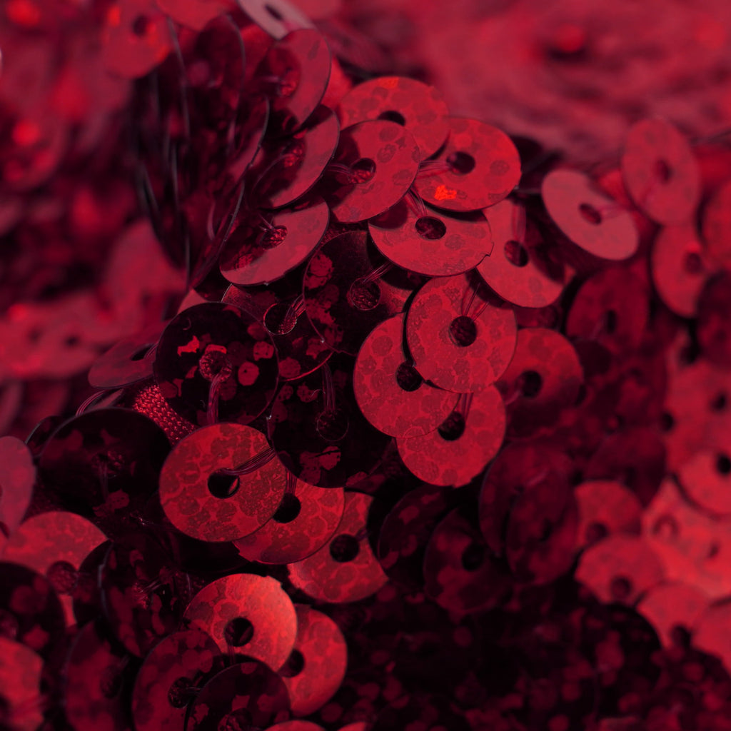 Halo Spandex Sequin Fabric | CDW