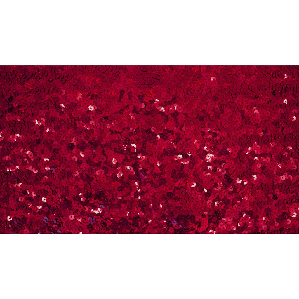 Halo Spandex Sequin Fabric | CDW