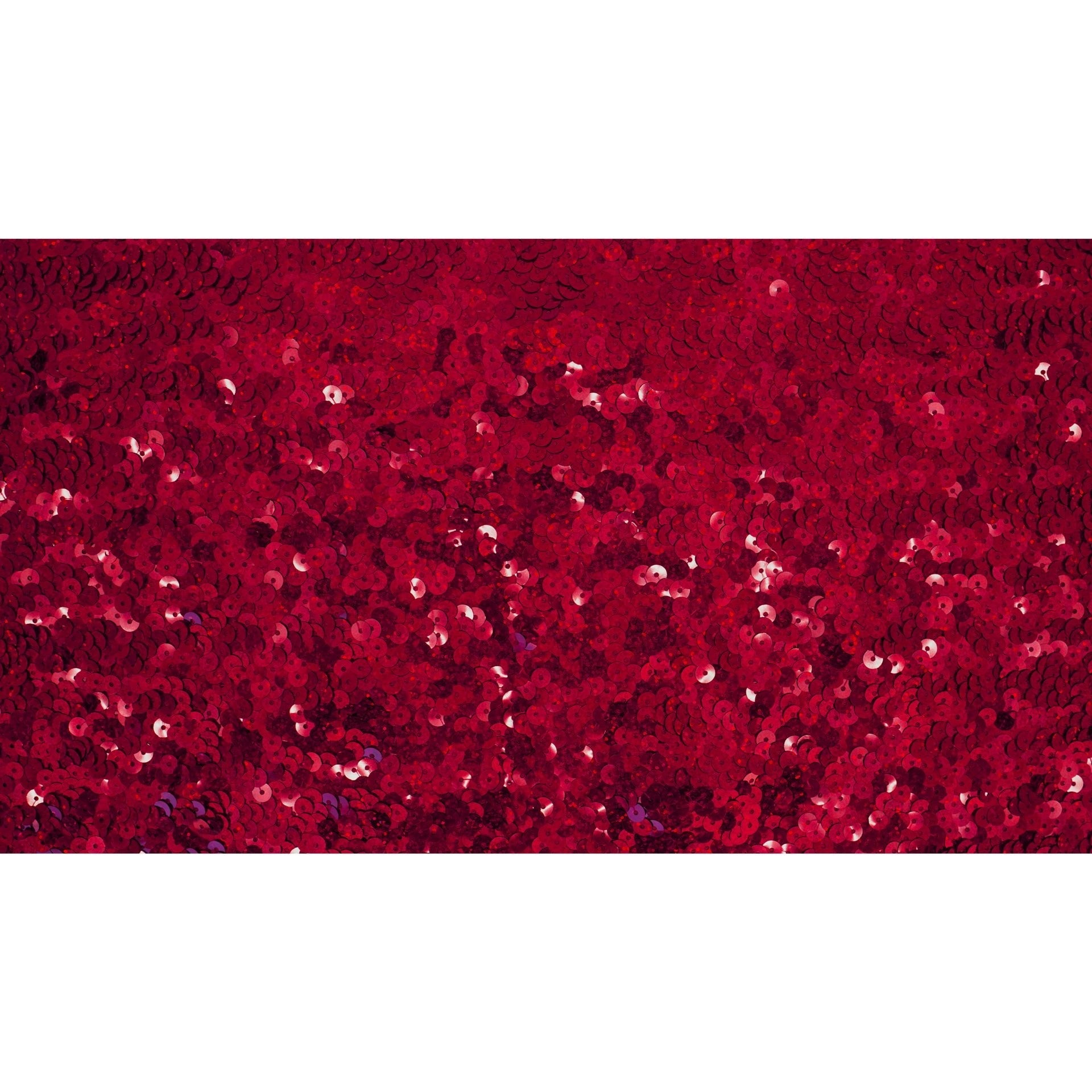 Halo Spandex Sequin Fabric | CDW