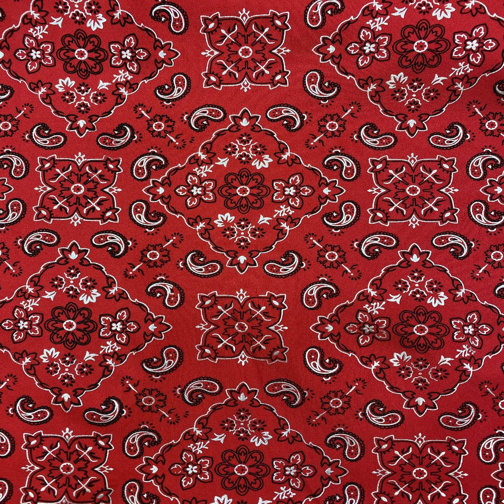 Bandana Paisley Print Spandex Fabric
