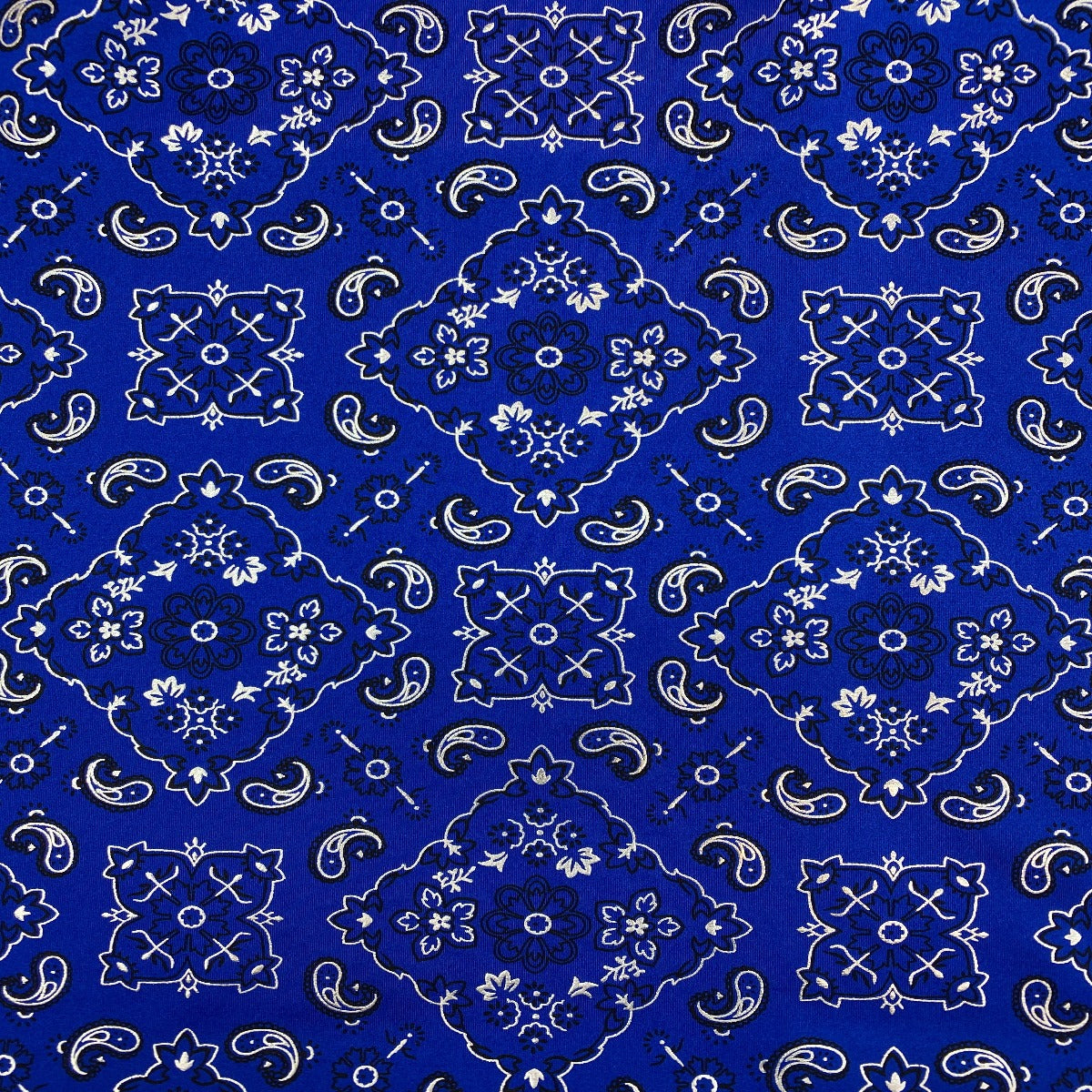 Bandana Paisley Print Spandex Fabric
