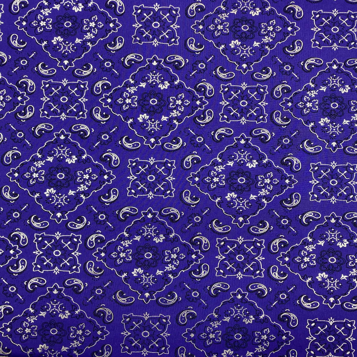 Bandana Paisley Print Spandex Fabric