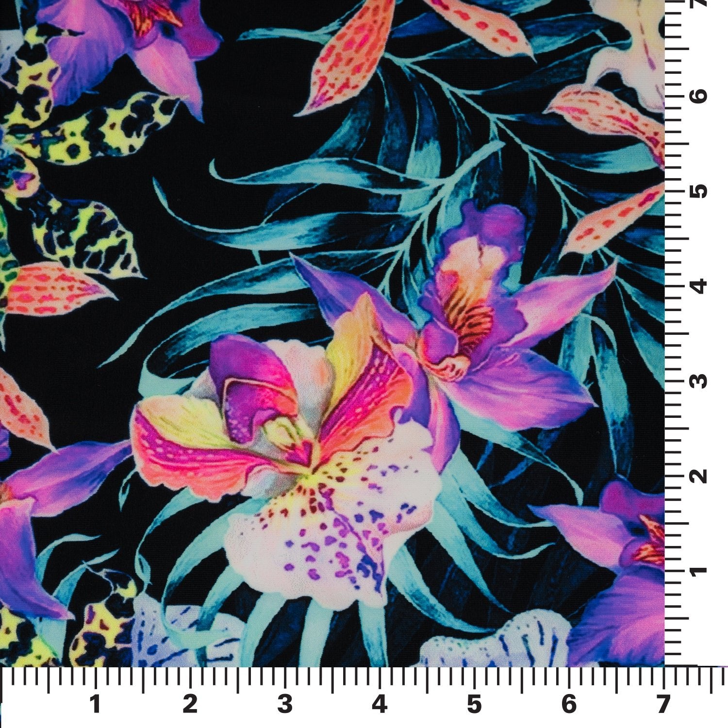 Irises and Palm Fronds Printed Spandex Fabric | CDW