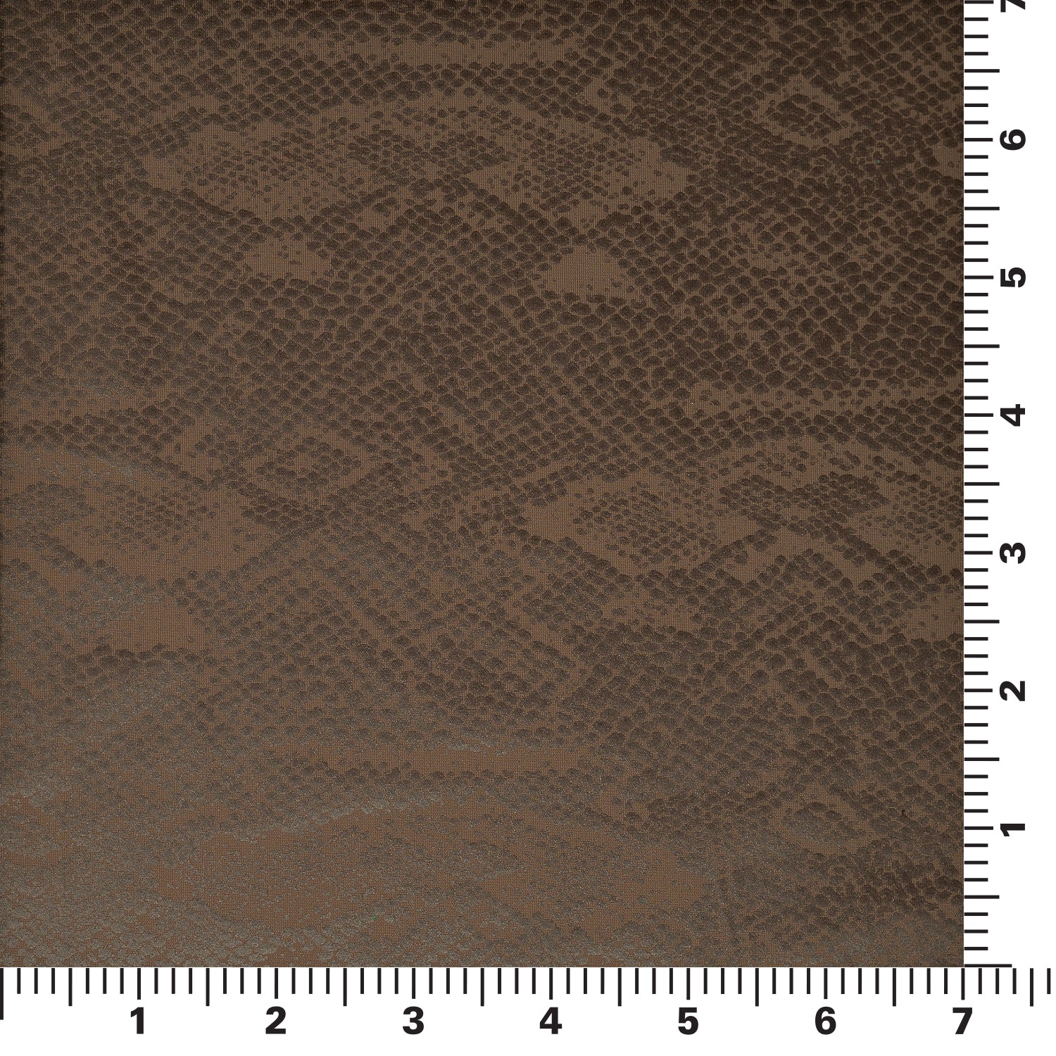Medusa Snake Skin Foil Printed Spandex Fabric | CDW