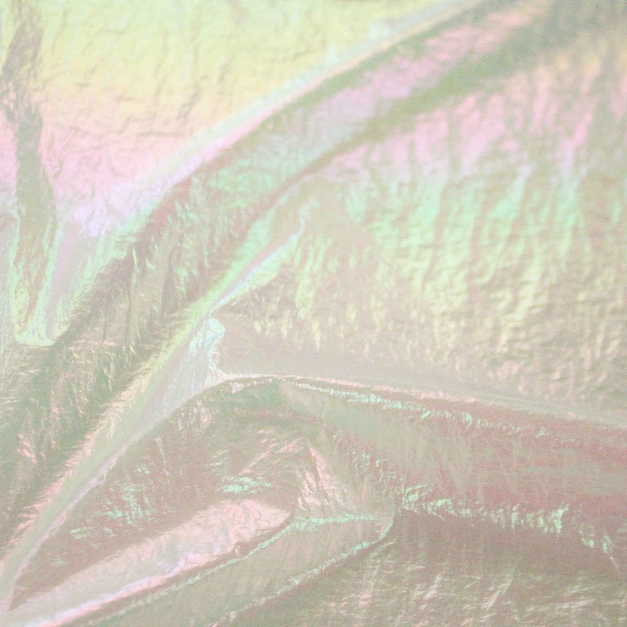 Mother of Pearl Foiled Nylon Fabric | CDW