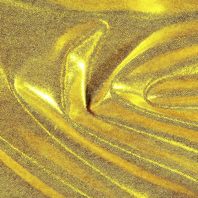 Mystique Foiled Spandex Fabric | CDW