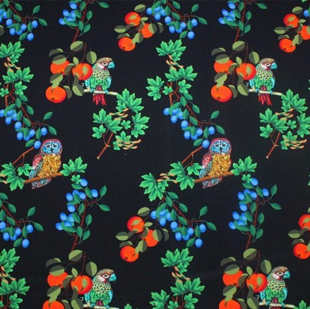 Birds and Fruits Printed Spandex Fabric | CDW
