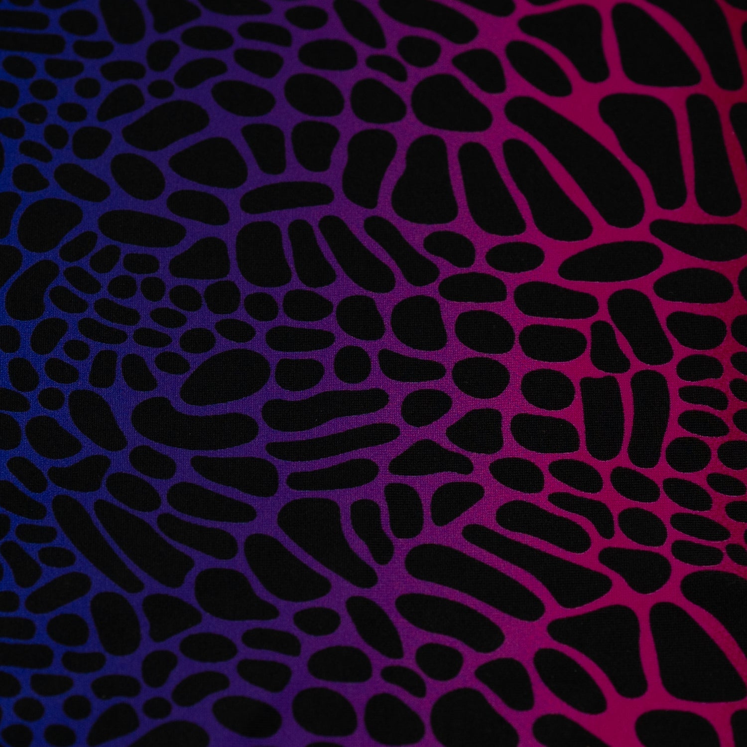 Multicolor Safari Spots Printed Spandex Fabric | CDW