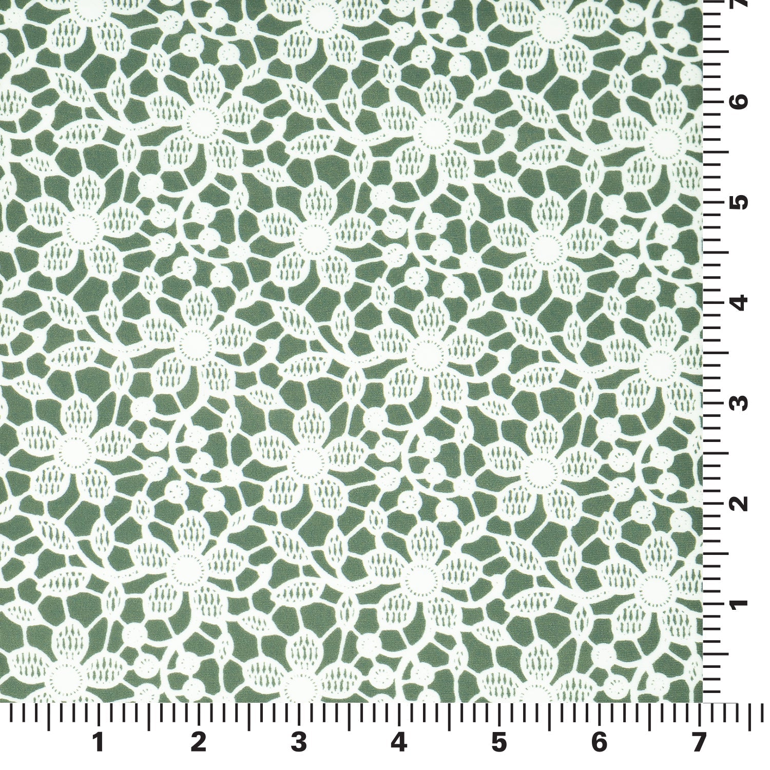 White Flower Lace Pattern on Sage Printed Spandex Fabric | CDW