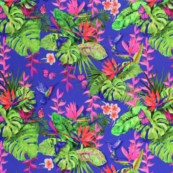 Humming Bird Tropical Garden Printed Spandex | CDW