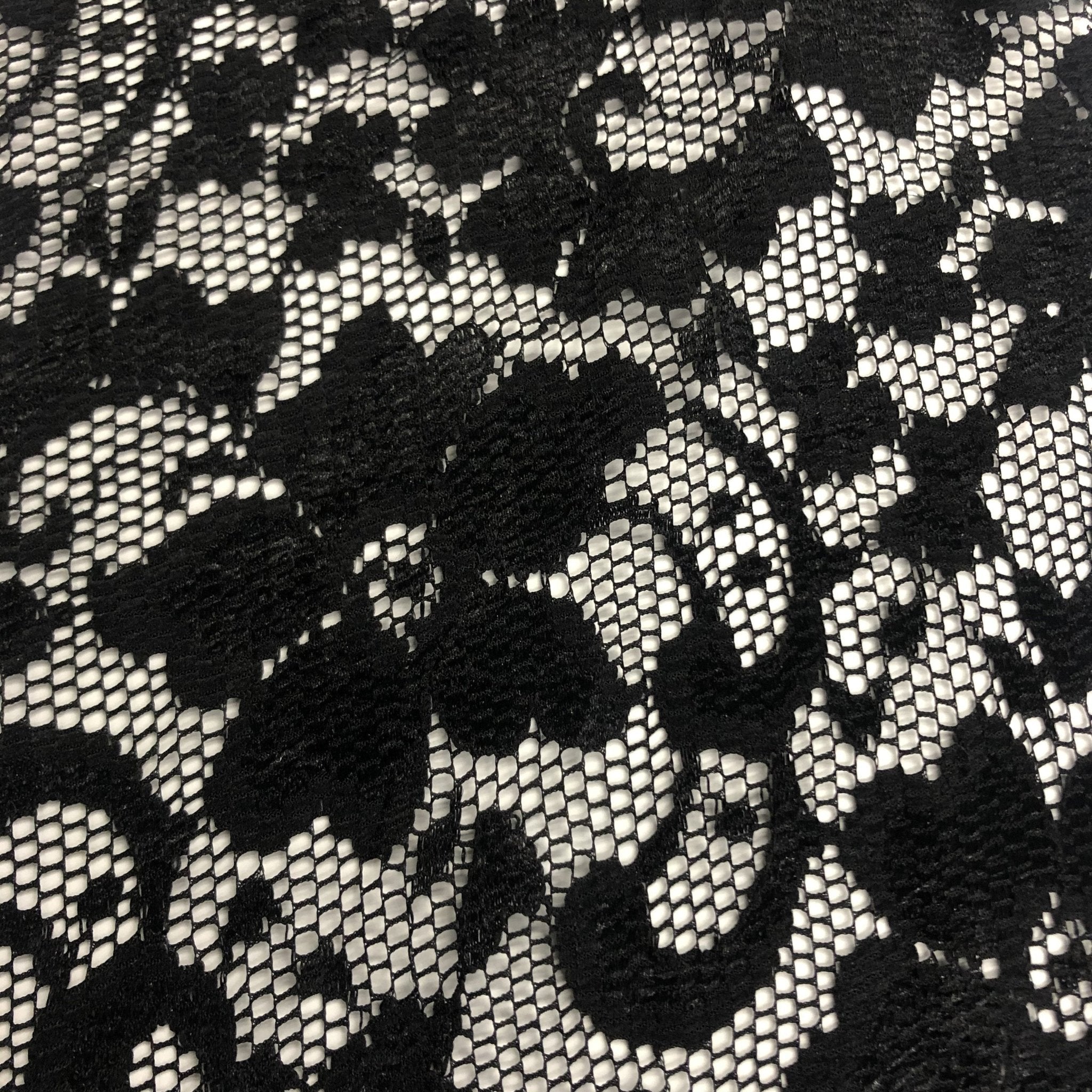 Nadia Scalloped Stretch Lace | CDW