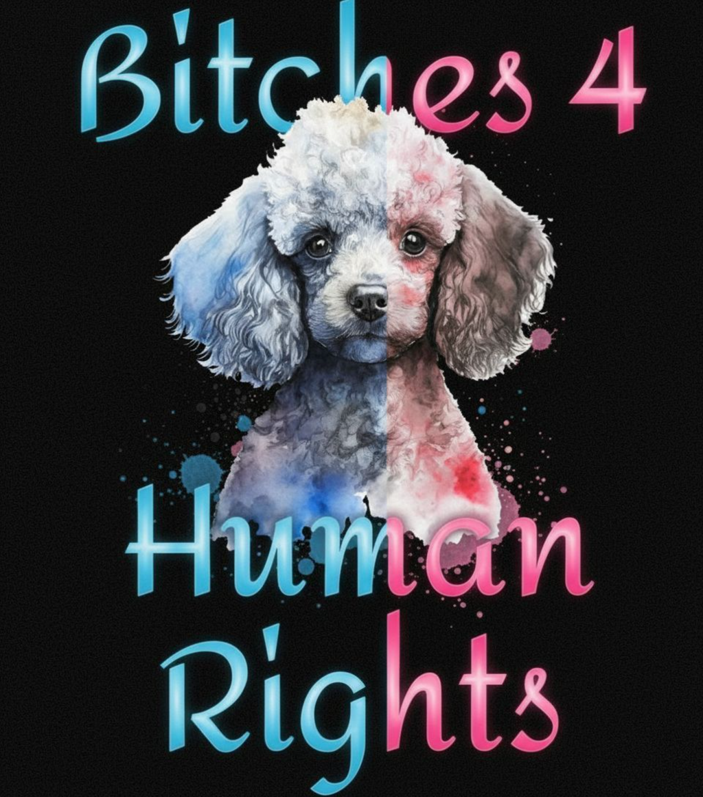 B**ches 4 Human Rights Poodle Tee | Ultra-Soft Activist